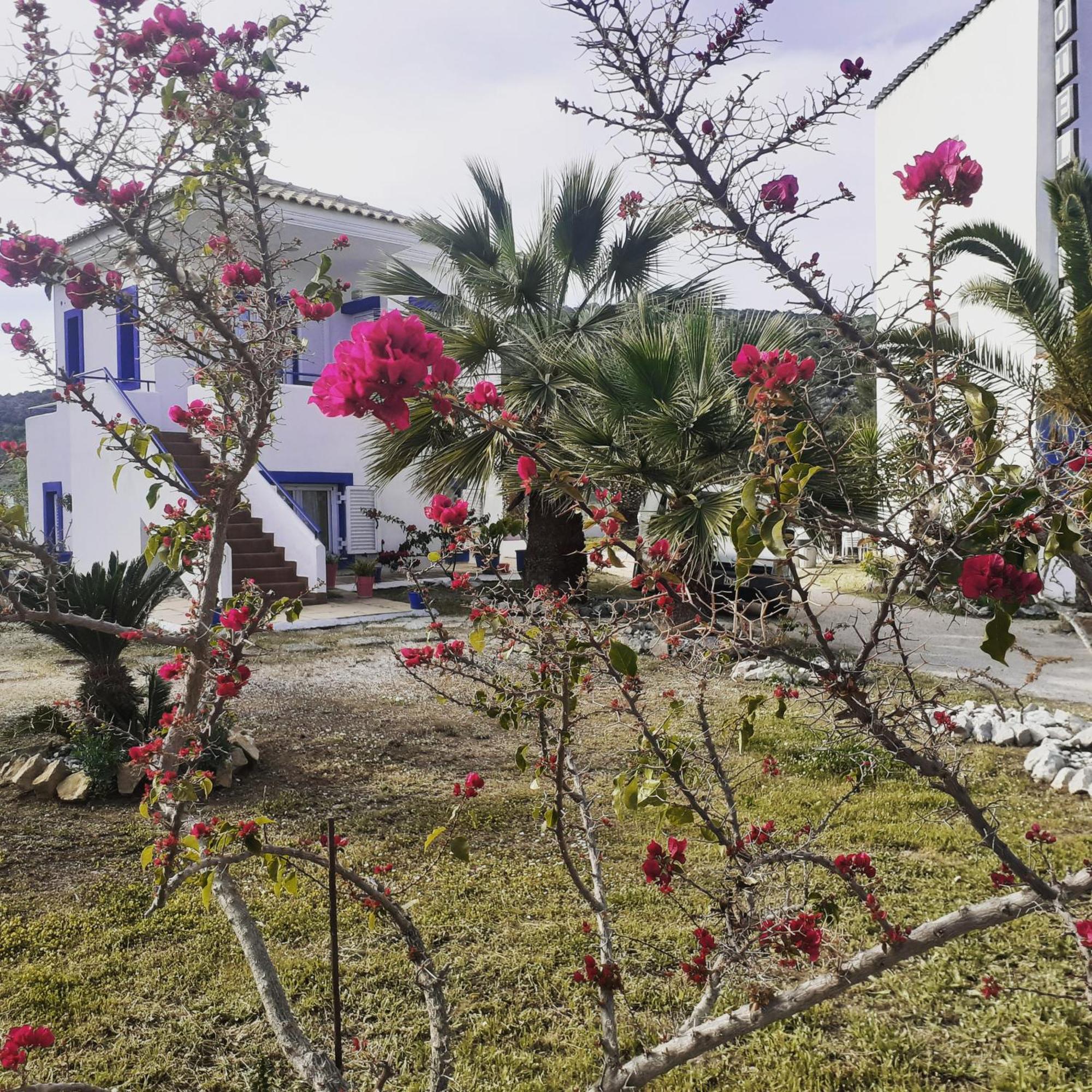 ניאה אפידאורוס Hotel Avra מראה חיצוני תמונה
